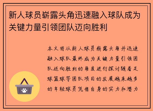 新人球员崭露头角迅速融入球队成为关键力量引领团队迈向胜利